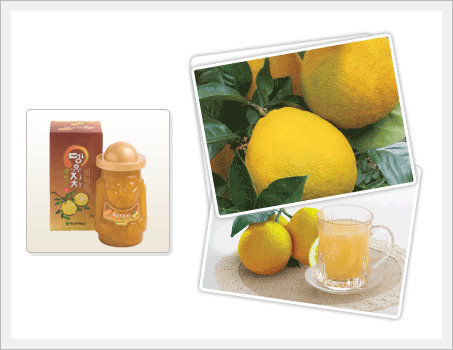 Tang Citron Tea  Made in Korea